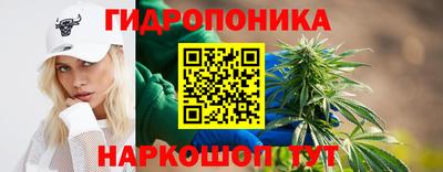 молекула духа Гагарин