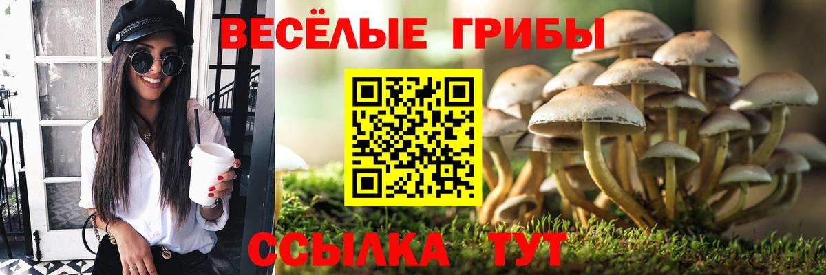 Галлюциногенные грибы Cubensis Арзамас