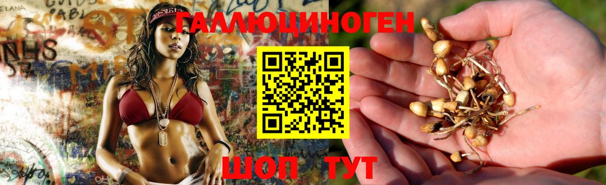 Псилоцибиновые грибы прущие грибы  Вход с VPN  Арзамас 